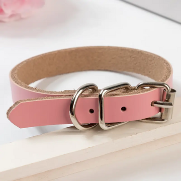 PETSARY Leather Dog and Cat Collar Soft Adjustable Bone Decoration