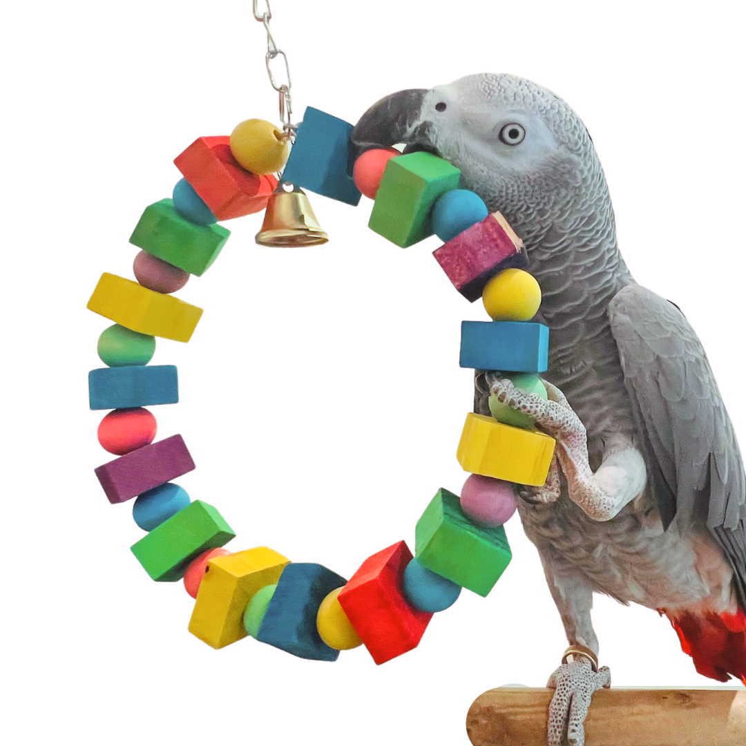 Round Wood Parrot Chew Toy