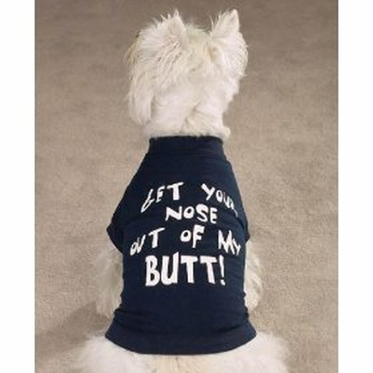 Best Dog Shirts 
