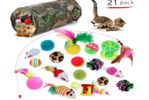 21 Piece Assorted Cat Toy 