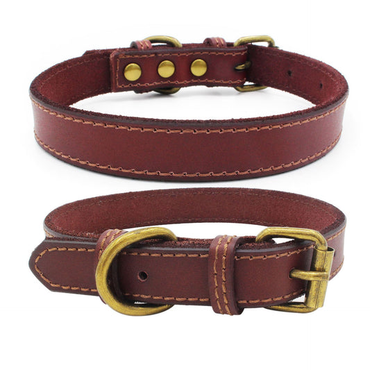 Mini Trendsetter: Genuine Leather Dog Collar (Brown, Small)