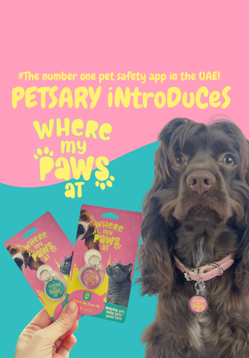 Shop Pet Care Products at Dubai s Best Online Pet Accessories