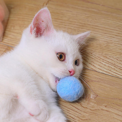 Cat Pom Pom Balls